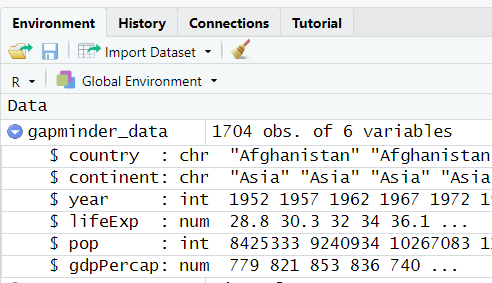 Data Frame in Environment Pane