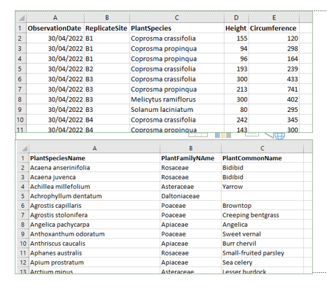 Plant Observation and Species Data Input Files